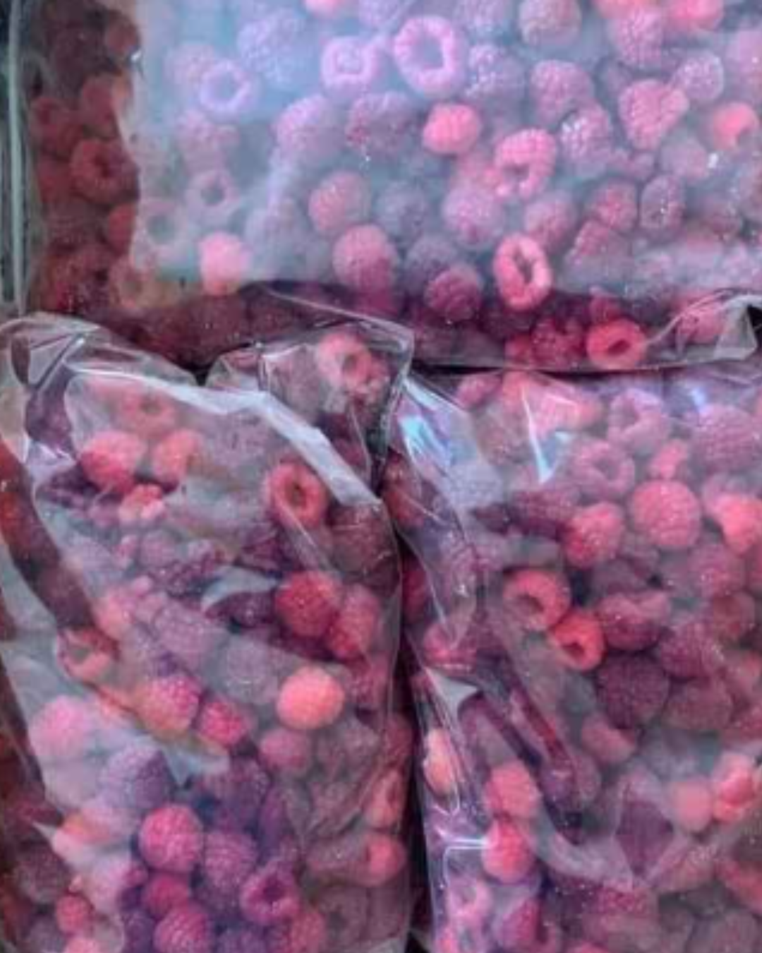 Frambuesas IQF
